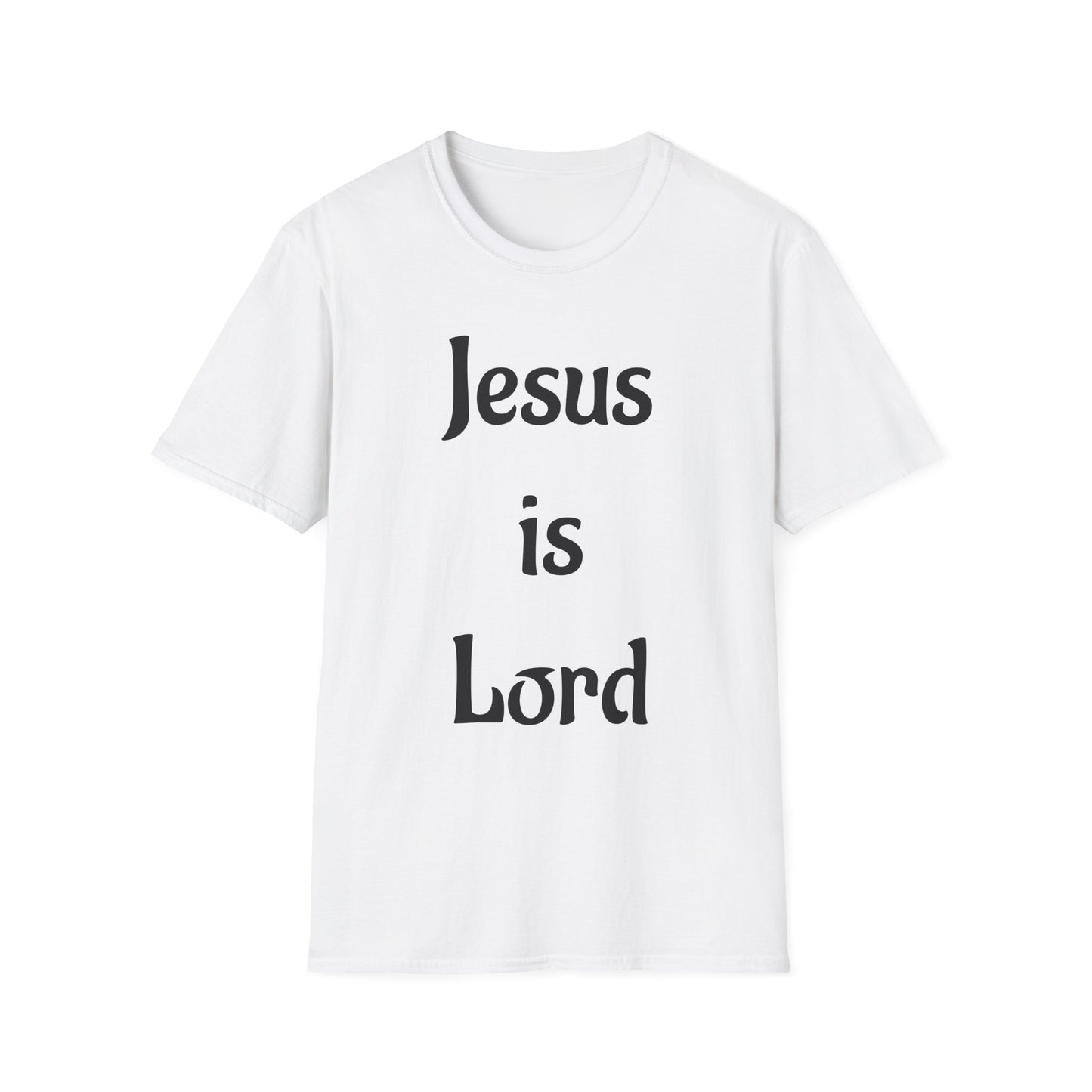 " Jesus is Lord" John 3:16 tee shirt
