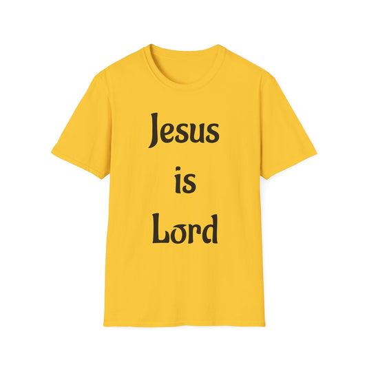" Jesus is Lord" John 3:16 tee shirt