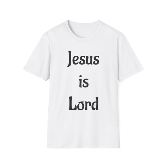 " Jesus is Lord" John 3:16 tee shirt