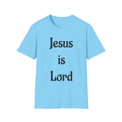" Jesus is Lord" John 3:16 tee shirt
