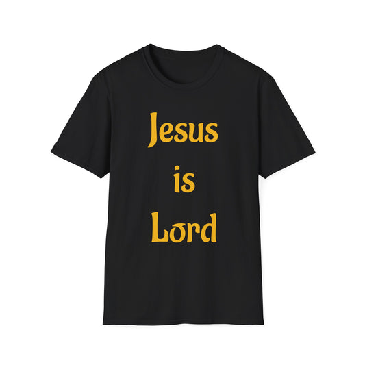 " Jesus is Lord" John 14:6 tee shirt